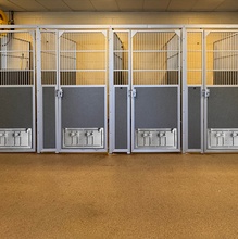 Kennel Gear, 360 Versa Feeder Standard with Paws