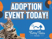 Yard Sign 24"wx18"h-Horizontal