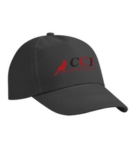 Promotional Budget Saver Non Woven Cap