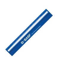 Plastic 12 Ruler With Magnifying Glass