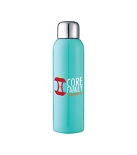 Guzzle 28 oz. Stainless Sports Bottle