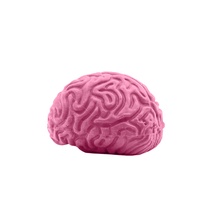 Pencil-Top Eraser Brain