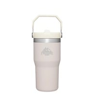 Stanley IceFlow Flip Straw Tumbler 20 oz.-Screen Print