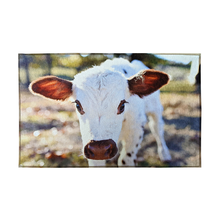 Indoor Rug 19.7" x 31.5"