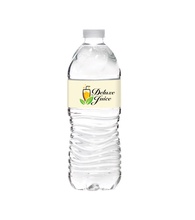 16.9 oz. Bottled Water