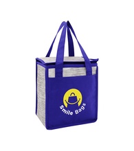 Fresno Non-Woven Cooler Bag