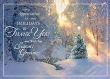 Magical Morning Holiday Cards