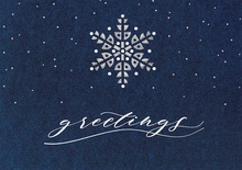 Starry Indigo Holiday Cards