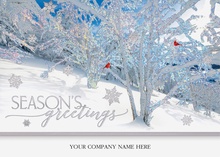 Frosted Wonders Holiday Cards