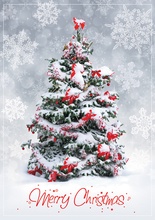 Christmas Surprise Greeting Cards