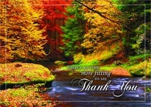 Splashes Of Color Thanksgiving Cards