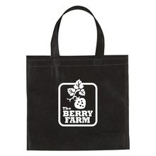 Non-Woven Mini Brochure Custom Tote Bags