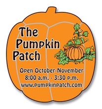 Pumpkin Magnet