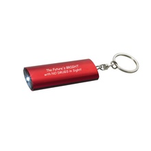Red Ribbon Week Key Chain Flashlight