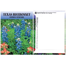 Texas Bluebonnet Flower Seed Packs