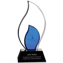 Custom Trailblazer Award