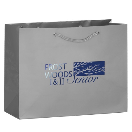 Imprinted Gloss 13 x 5 x 10 Shopping Bags