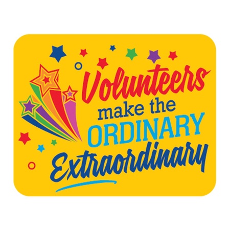 Volunteers Make The Ordinary Extraordinary Lapel Pins