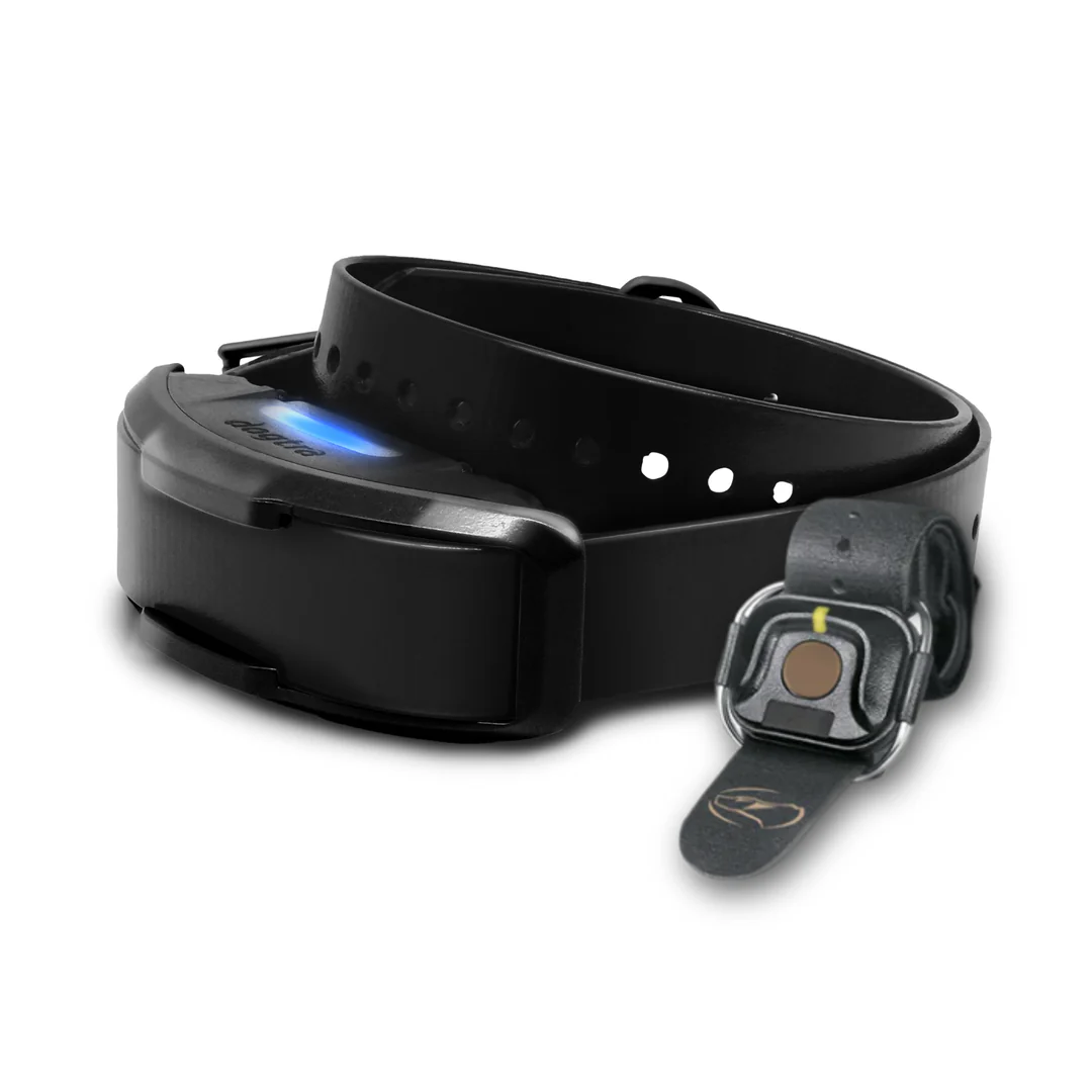 Dogtra, 1900X BLACK EDITION ADDITIONAL RECEIVER