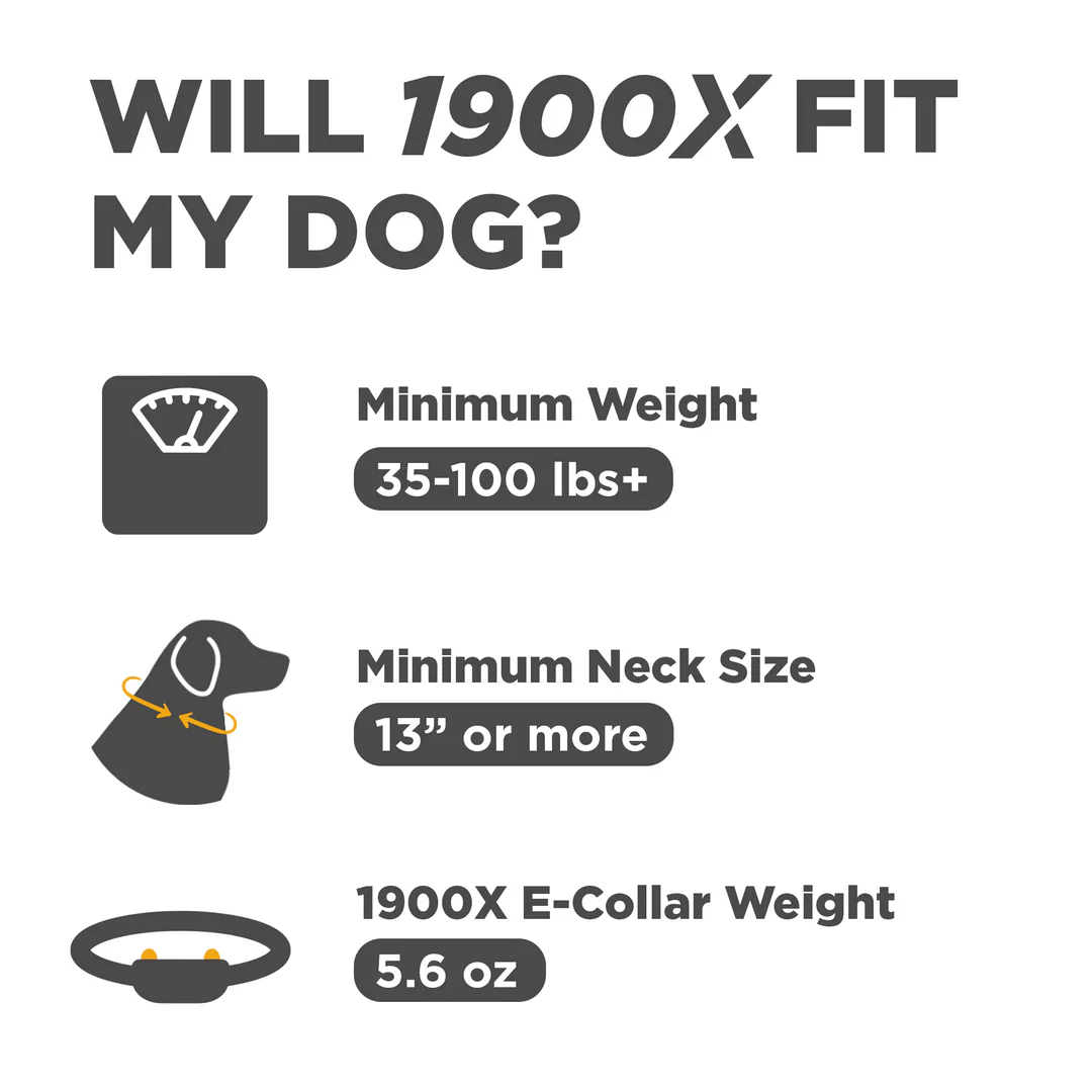 Dogtra, 1900X ADDITIONAL RECEIVER