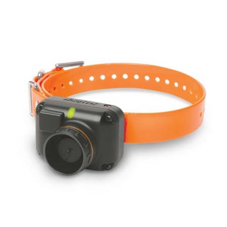 Dogtra, T&B Additional Receiver, Orange