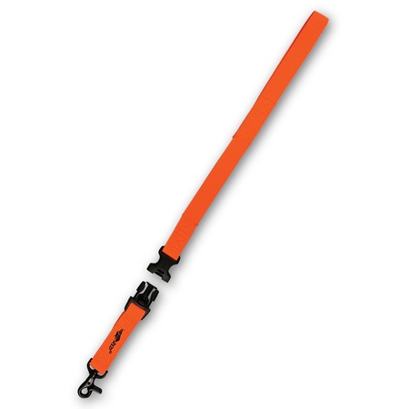 Avery, Trainer's Dog Lead