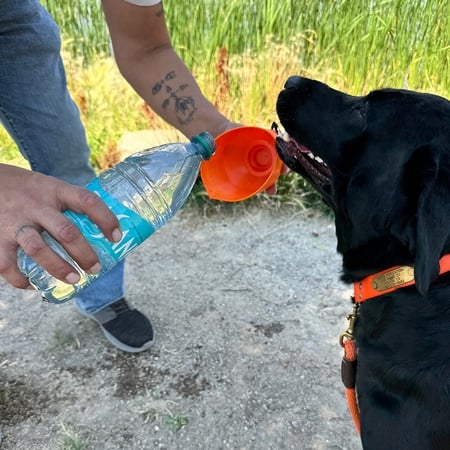 Cody Hunt Gear, Pet Water Cup, Orange