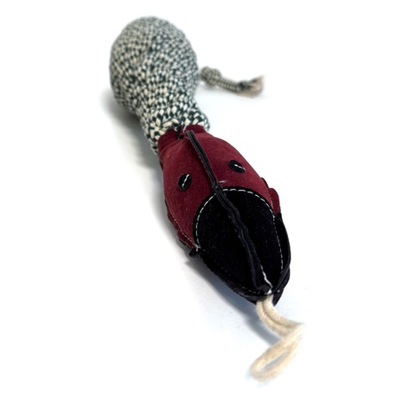 Crinkle Pheasant, Small