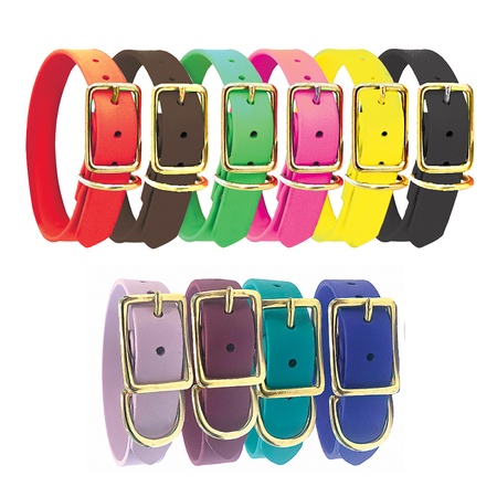 Custom Dura-Flex Dog Collar