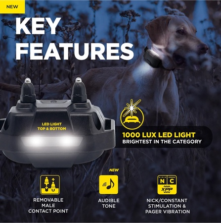 Dogtra, EDGE2 1-Dog Remote Training E-Collar