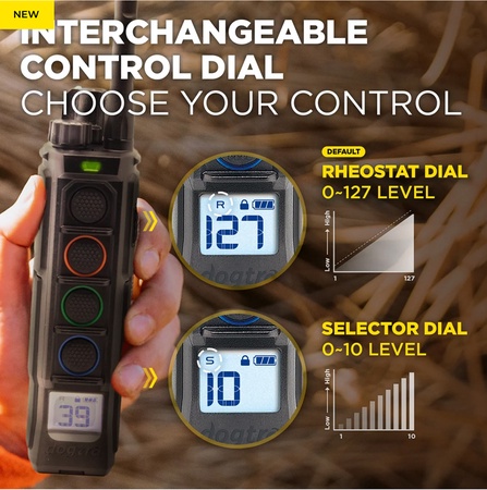 Dogtra, EDGE2 1-Dog Remote Training E-Collar