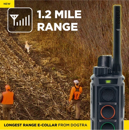 Dogtra, EDGE2 1-Dog Remote Training E-Collar
