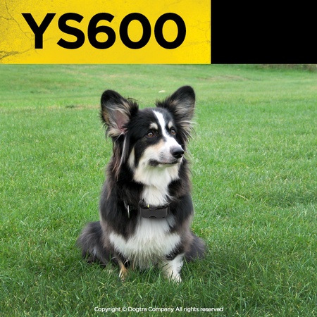 Dogtra, No-Bark Collar YS 600 (Medium to large breeds)
