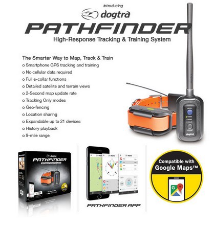 dogtra pathfinder test