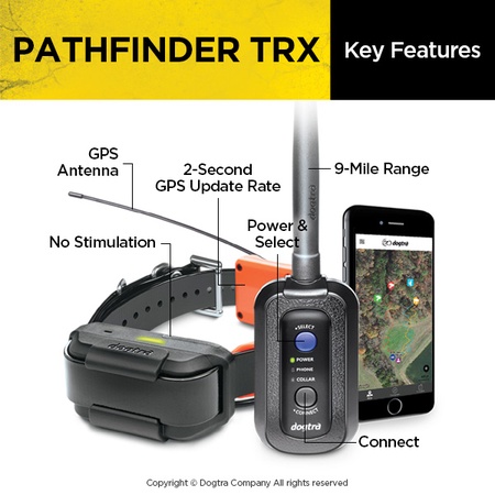 dogtra pathfinder