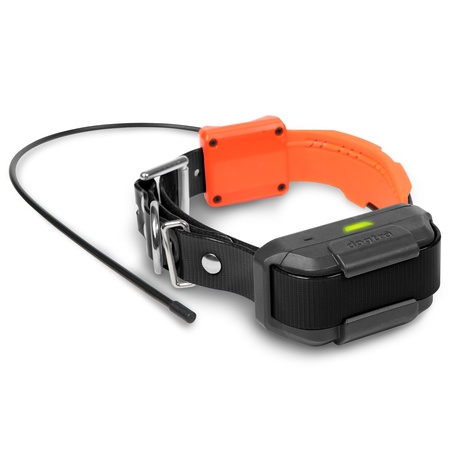 dogtra pathfinder mini collar