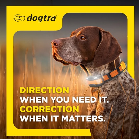Dogtra PATHFINDER2 COMPASS GPS Dog Tracking & Training System