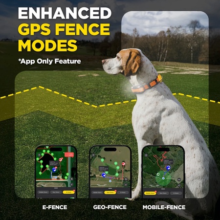 Dogtra PATHFINDER2 COMPASS GPS Dog Tracking & Training System