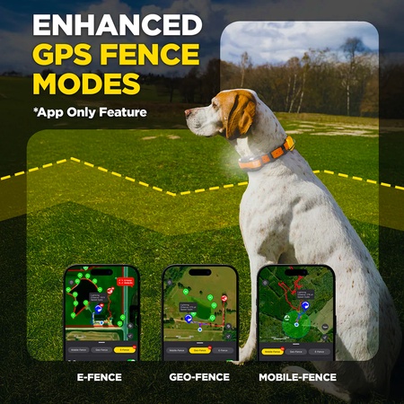 Dogtra, Pathfinder2 Mini Compass