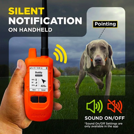 Dogtra, Pathfinder2 Mini Compass