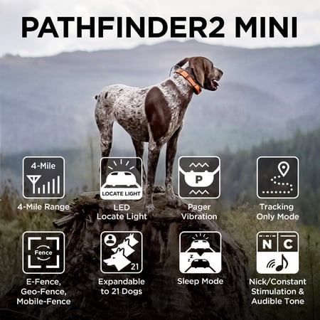 Dogtra, Pathfinder2 Mini