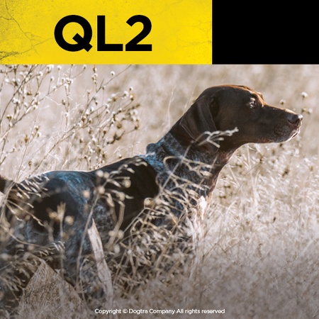 Dogtra, QL2 Launcher, Quail/Pigeon