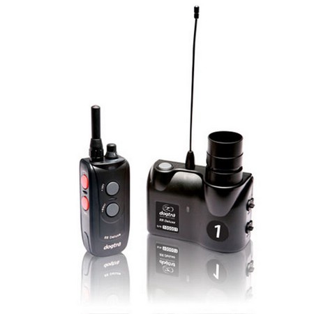 dogtra remote