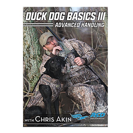 DVD, Duck Dog Basics 3 with Chris Akin