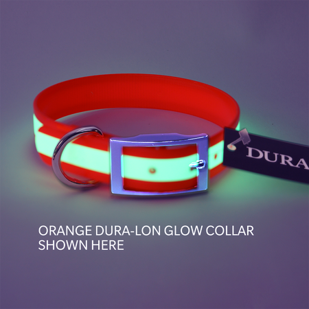 Dura-Lon Glow Dog Collar, Standard, Orange, 1" Wide