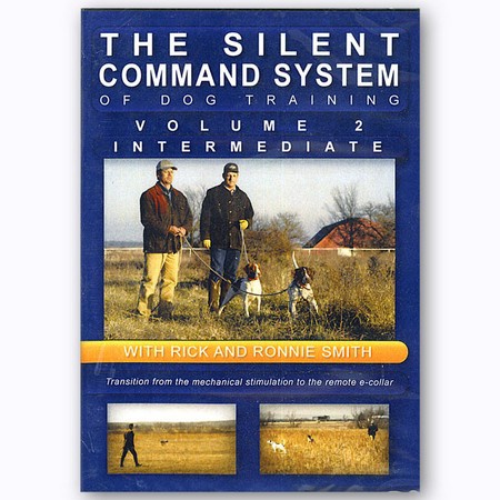 DVD, Intermediate Silent Command System II