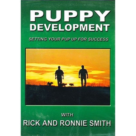 DVD, Puppy Development 1, Setting Your Pup Up for Success