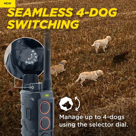 Dogtra, EDGE RT2 Retriever Training E-Collar