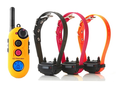 EZ-903 3-Dog Easy Educator Remote Dog Trainer