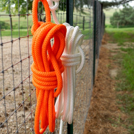 FieldKing "Almost Famous" 20 Foot Check Cords, Orange